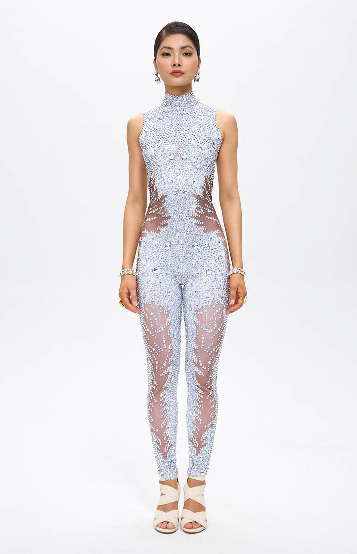 Diamante Embellished Crystal Mesh Catsuit