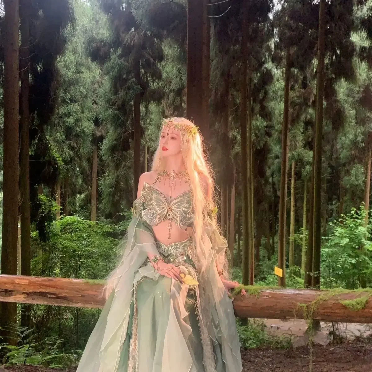 Fairy Cosplay Embroidered Dress