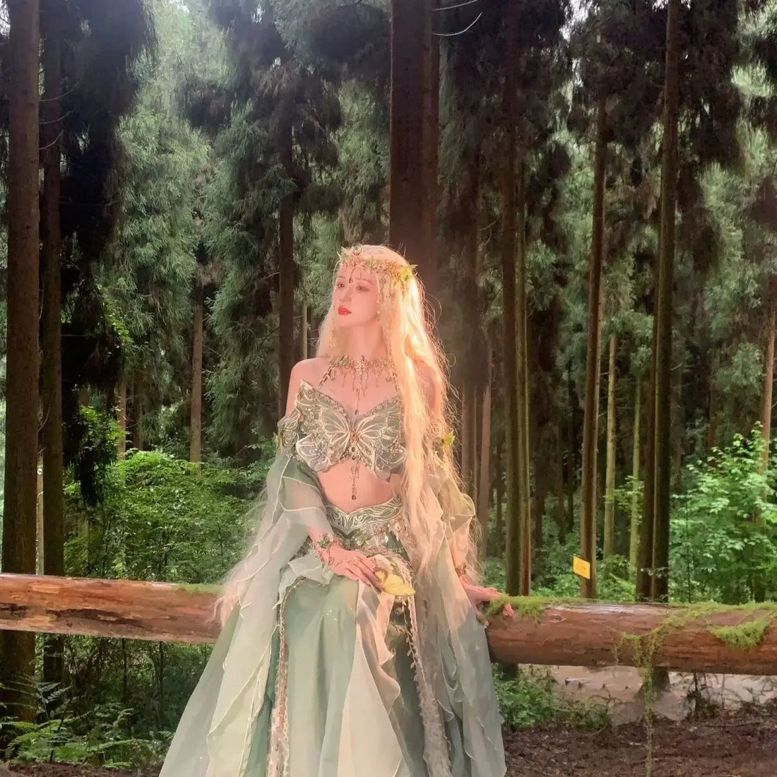 Fairy Cosplay Embroidered Dress