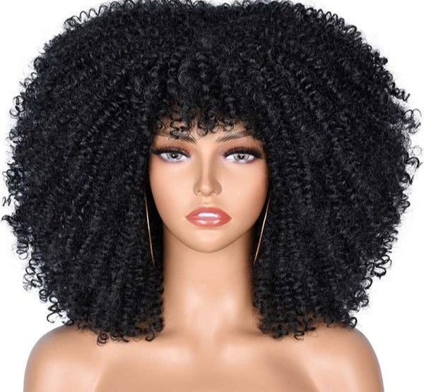 Synthetic Afro Wig - Festigal
