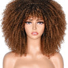 Synthetic Afro Wig - Festigal