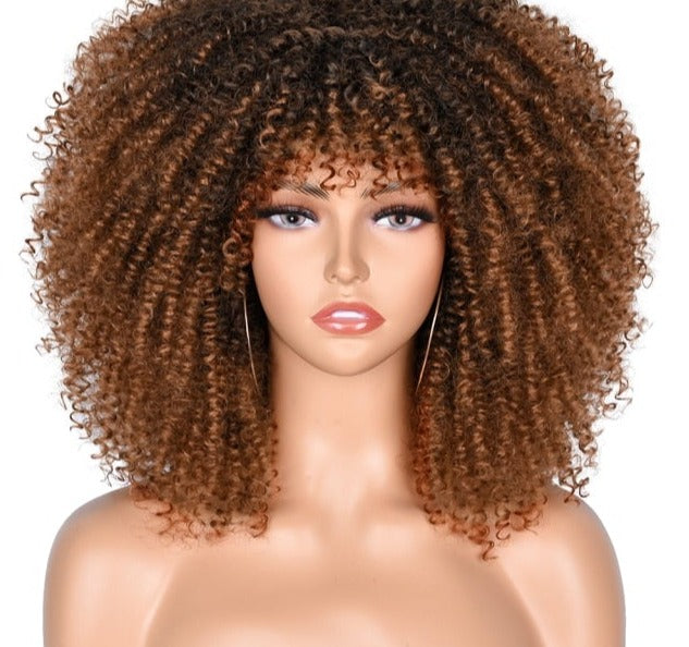 Synthetic Afro Wig - Festigal