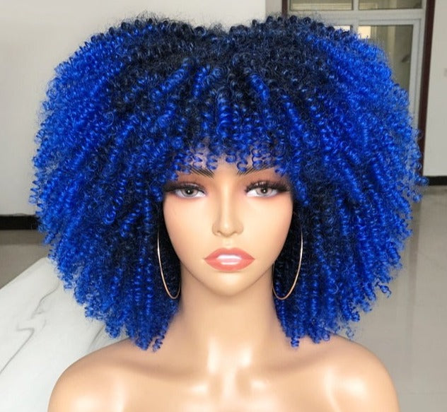Synthetic Afro Wig - Festigal