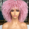 Synthetic Afro Wig - Festigal