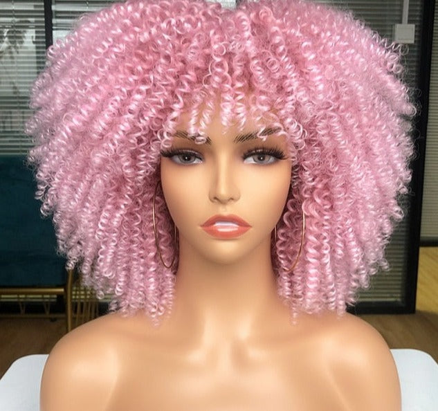 Synthetic Afro Wig - Festigal