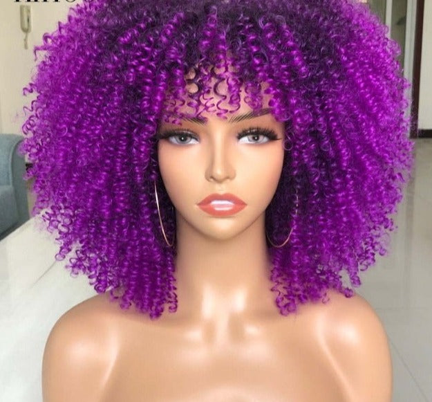 Synthetic Afro Wig - Festigal