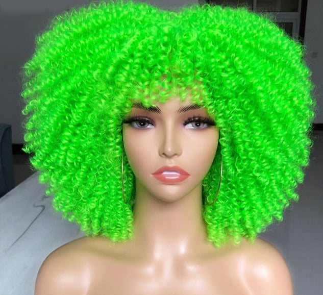 Synthetic Afro Wig - Festigal